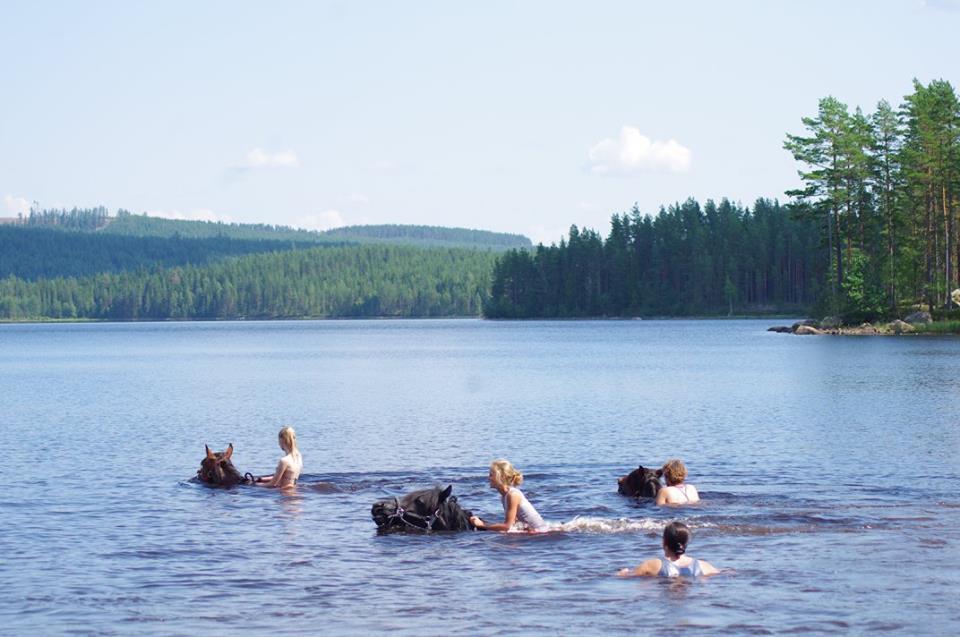 مبيت وإفطار Ekshärad Sun Dance Ranch المظهر الخارجي الصورة