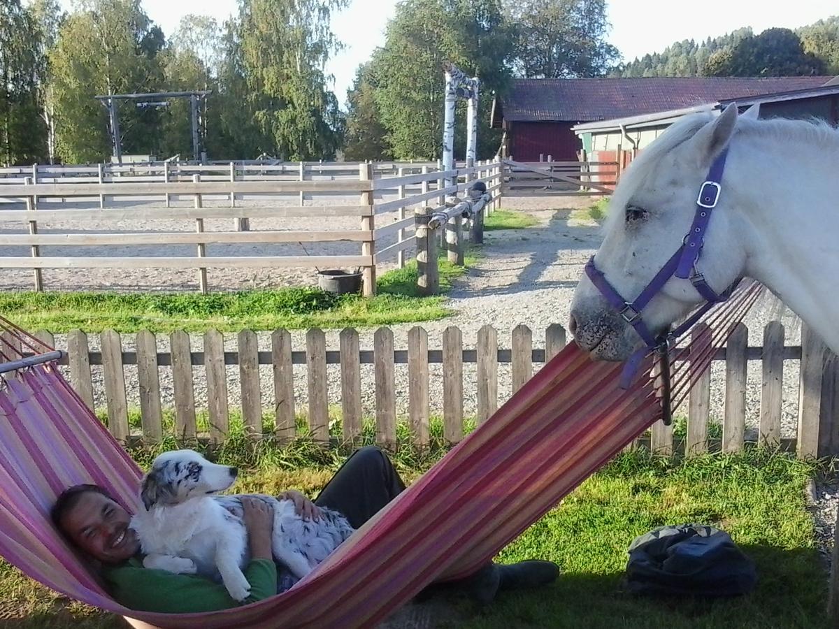 مبيت وإفطار Ekshärad Sun Dance Ranch المظهر الخارجي الصورة
